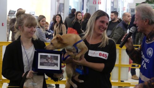 sangit-pet_show-WA0132